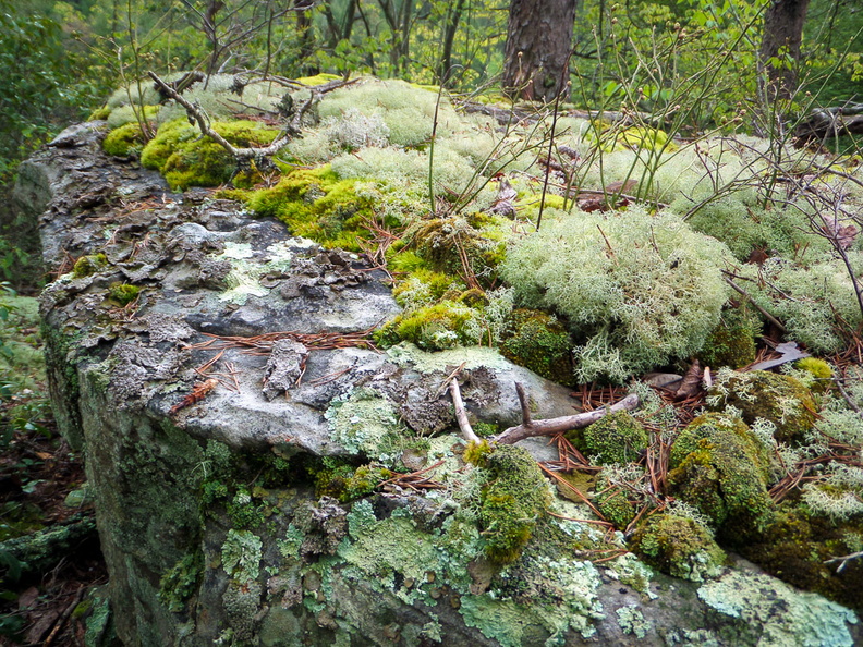 Rock becomes soil